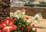 Scala Boutique Hotel & Suites foto 25