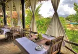 Spice Island Hotel & Resort foto 7