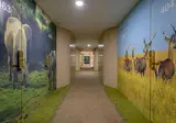 Gran Hotel del Coto foto 17