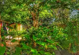 International Glamping Lago Di Bracciano foto 28