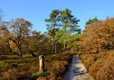 Vakantiepark Schoorlse Duinen foto 9