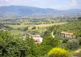 Il Poggio degli Olivi foto 19