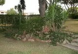 Rio foto 26