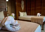 Coconut by ÓOL Hotels foto 7