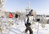 8 daagse excursiereis Escape to the Wilderness foto 5