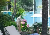 Hotel Principe Terme foto 20