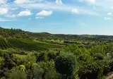 Vale Fuzeiros Nature Guest House foto 16