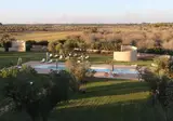Secolario Masseria del Viverbene foto 12