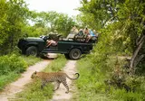 Zuid-Afrika in stijl foto 8