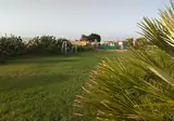 Villa Teti foto 16