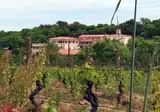 Pausania Inn foto 1