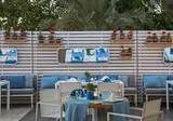 Acanthus Cennet Barut Collection foto 18