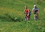 Vakantiepark Alpenchalets Flachauer Gutshof foto 29