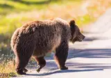 The Natural Wonders of Western Canada foto 2