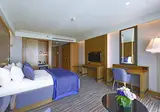 Mövenpick Hotel & Thermal Spa Bursa foto 18