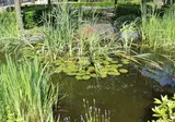 Erfgoedlogies d'Ouffenhoff foto 11