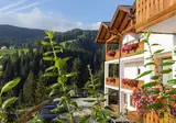 Alpenspitz foto 1