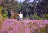 Center Parcs Bispinger Heide foto 25
