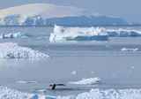 Once in a lifetime experience to Antarctica foto 2