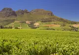 Suid-Afrika Compleet foto 14