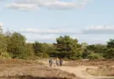 Camping Diever foto 14