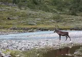 Ontdek Tromsø en de Noordkaap foto 15