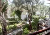 Venus Beach Hotel foto 10