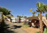 Camping Bleu Marine foto 9