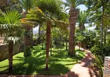 Villa Sonia foto 6
