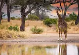 Tanzania Compleet foto 4