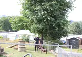 Oos Heem foto 16