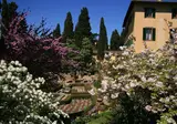 Art Hotel Villa Agape foto 11