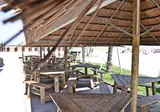 Oasi foto 21