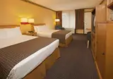 Avanti Palms Resort & Conference Center foto 29
