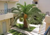 Summerland Hotel & Bungalows foto 19