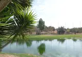 The Navigator - Palm Oasis Alvor foto 18