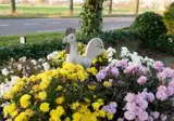 B&B Sagenland foto 3