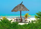 Hakuna Majiwe Zanzibar foto 18