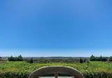 B Bou Hotel Cortijo Bravo foto 21
