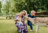 Vakantiepark Dierenbos foto 16