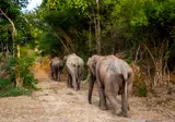 Discover Enchanting Thailand foto 3