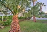 Saradari Beach Hotel foto 24