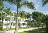 Riu Playacar foto 4