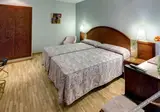 Hotel Gargallo Rialto foto 16