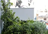 iFeel Athens foto 18