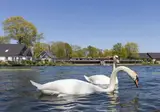 Limburg foto 20