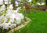 Dimora Morelli B&B foto 11