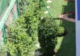 Sindibad foto 1