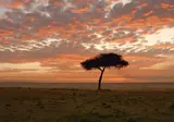 Explore the Great Nature of Kenya foto 1