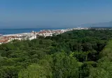 Palace Viareggio foto 4